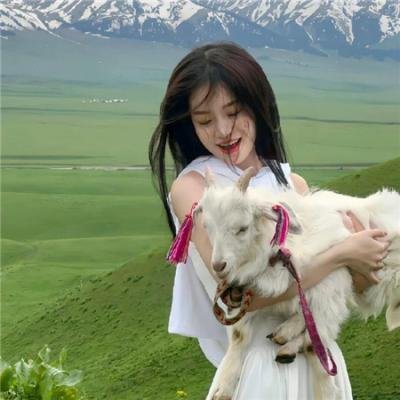 春日苦短少年恋爱吧。